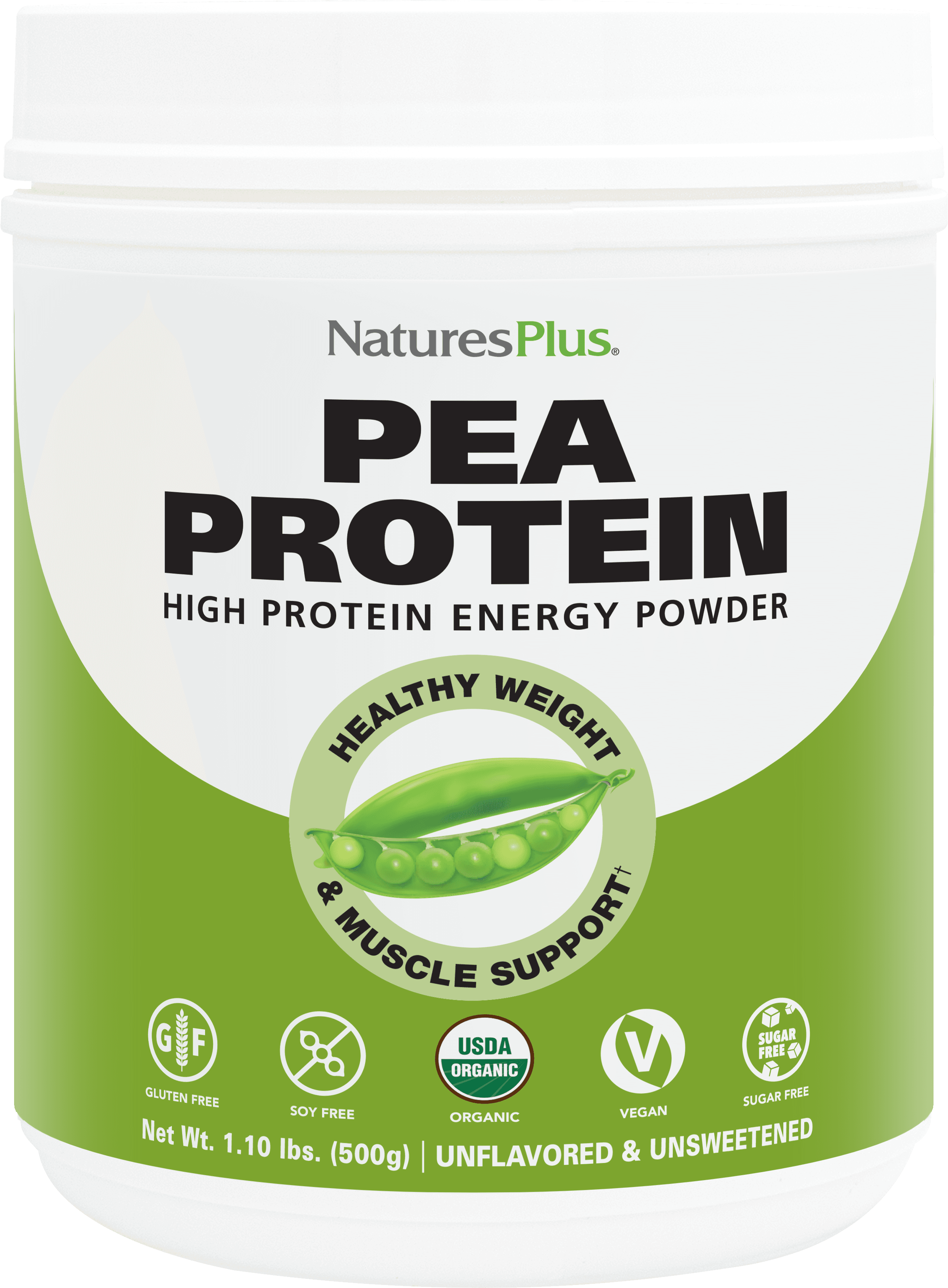 Paleo Protein