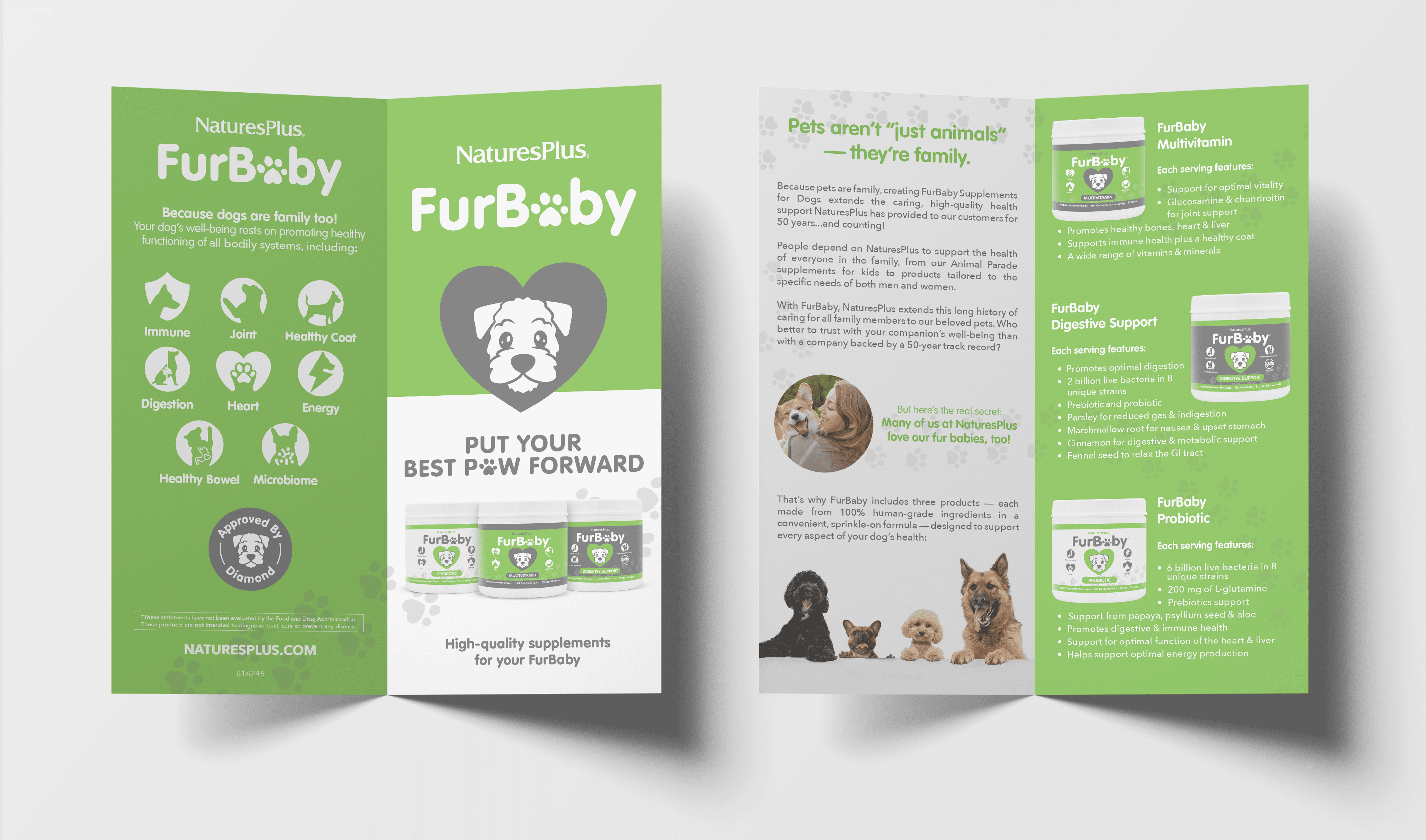 FurBaby Brochure