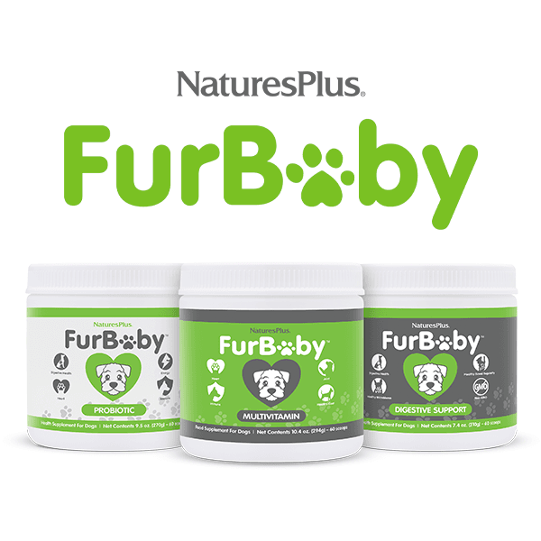 FurBaby Cover