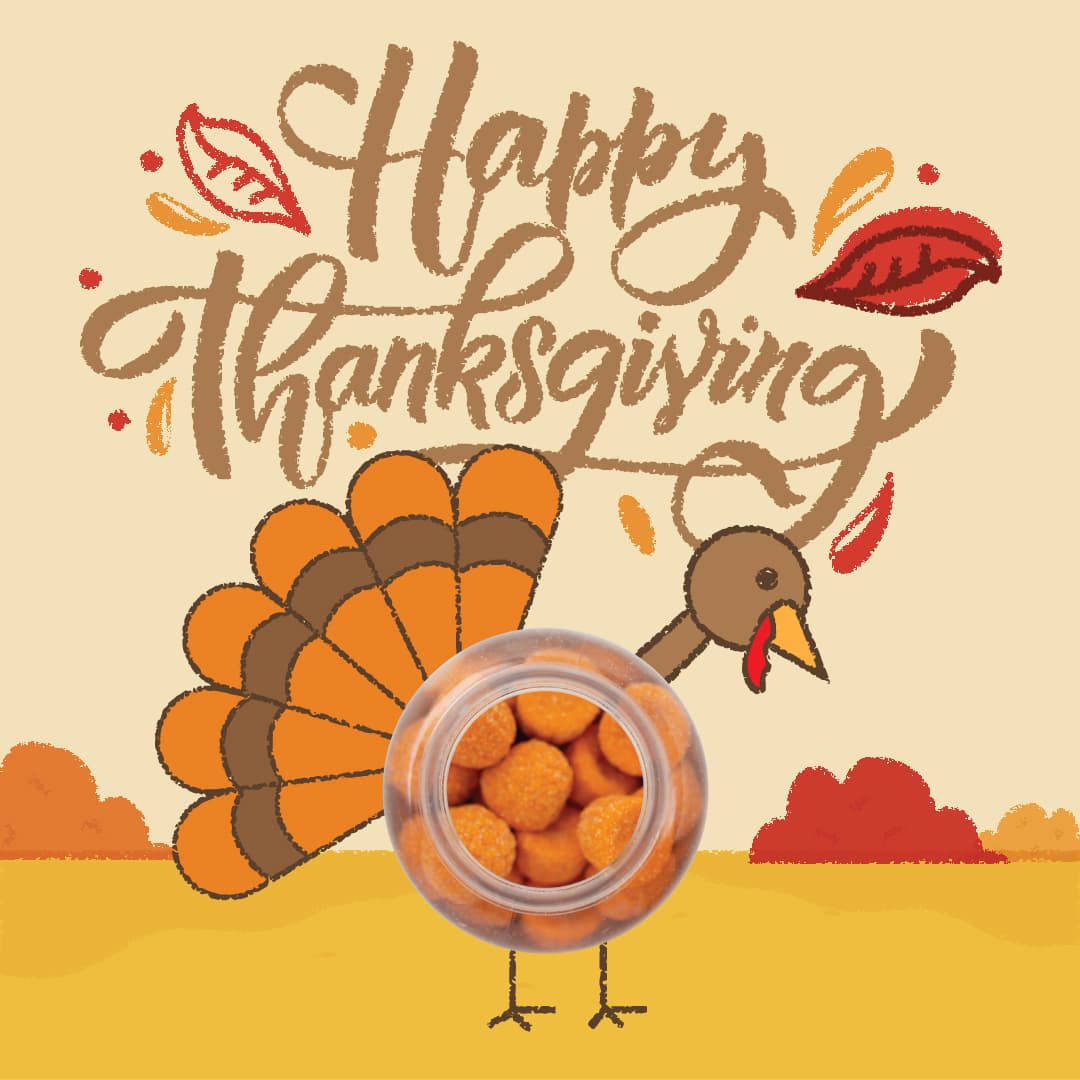 Turkey Thanksgiving