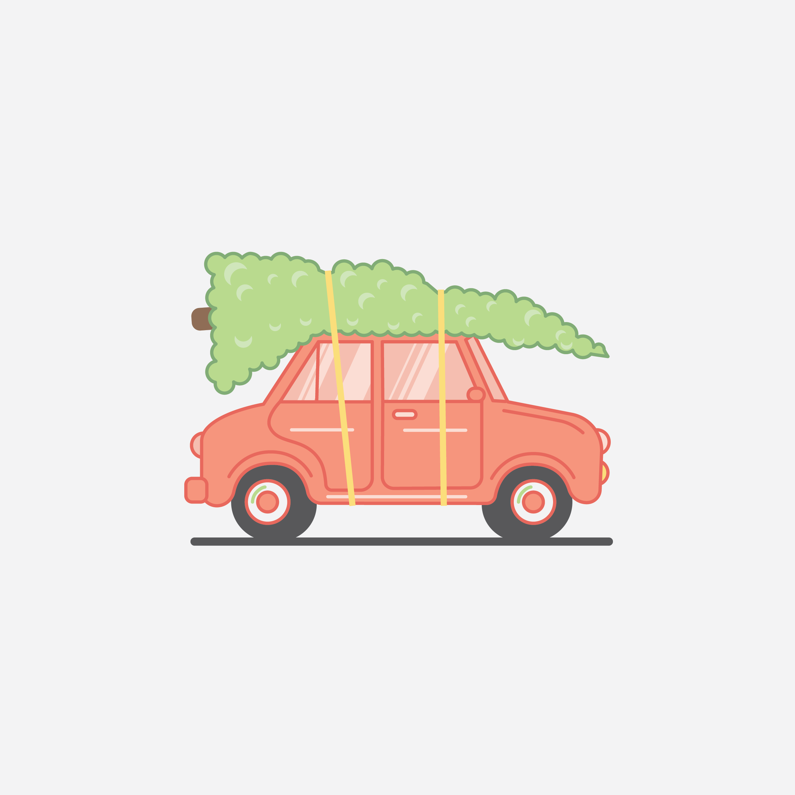 Tree on Car